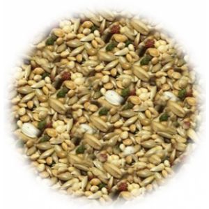 Versele-Laga Prestige African Parakeet 1kg