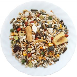 Duża papuga Special 1kg