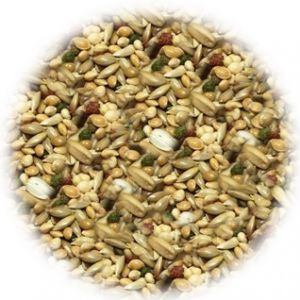 Versele-Laga Prestige African Parakeet 1kg