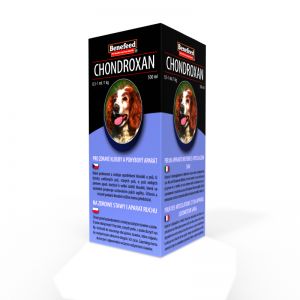 CHONDROXAN pies 500 ml